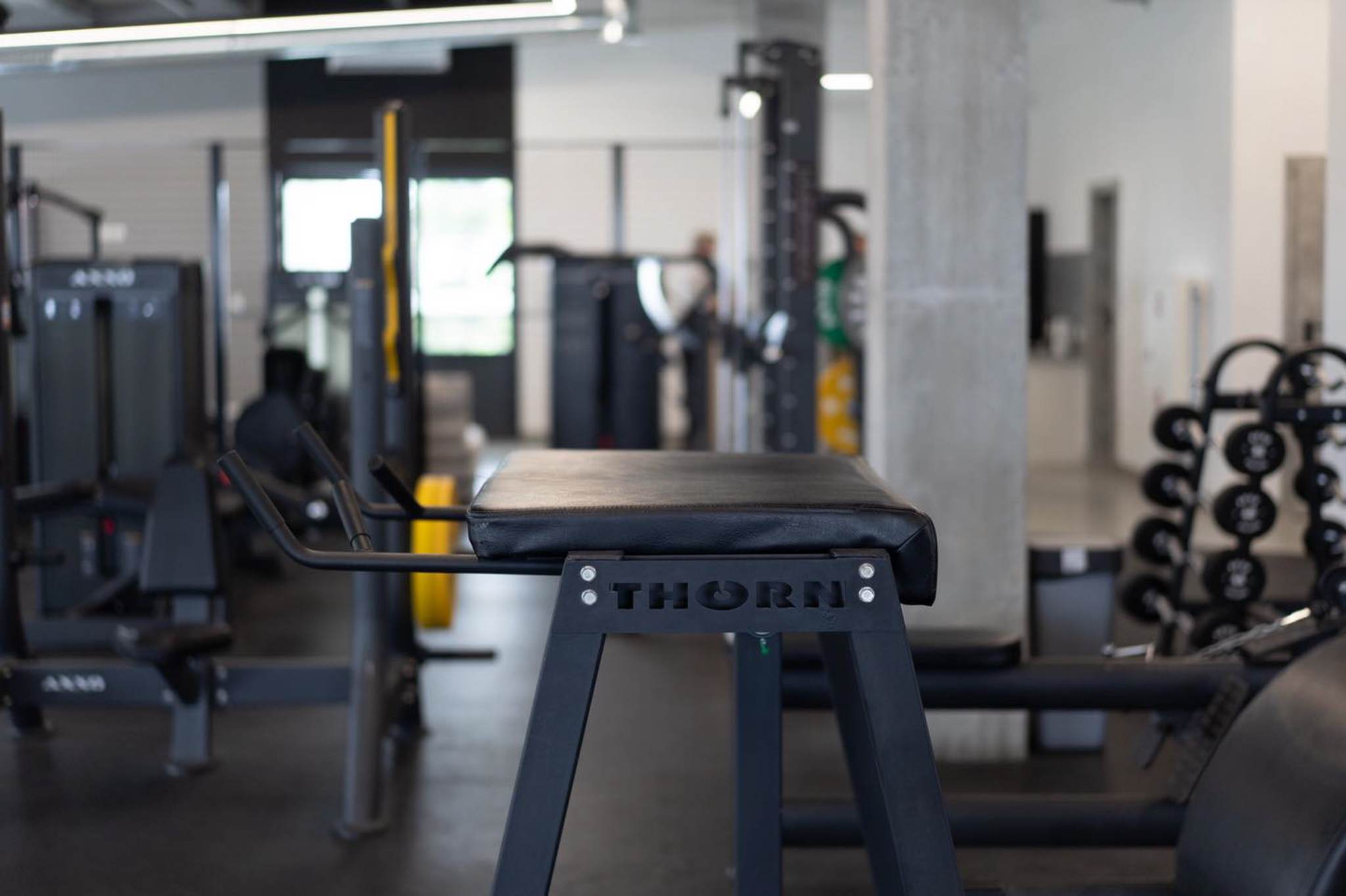 Galeria Wielkie Łapy 11